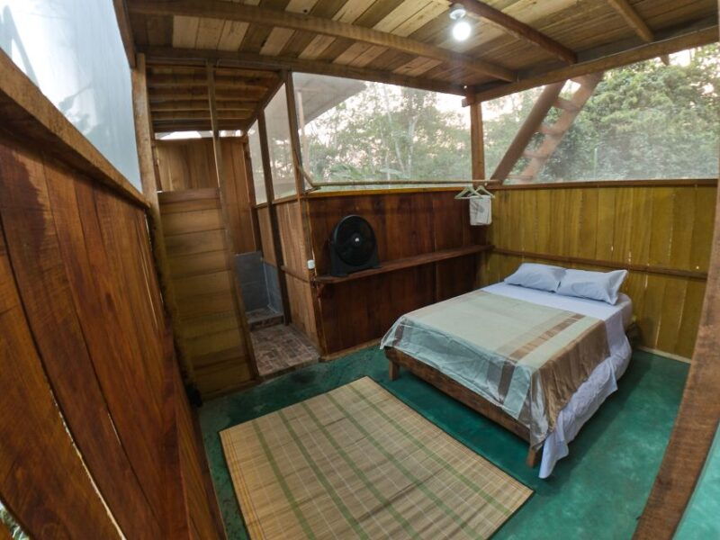 from-puerto-maldonado-4-day-excursion-wildlifesearch