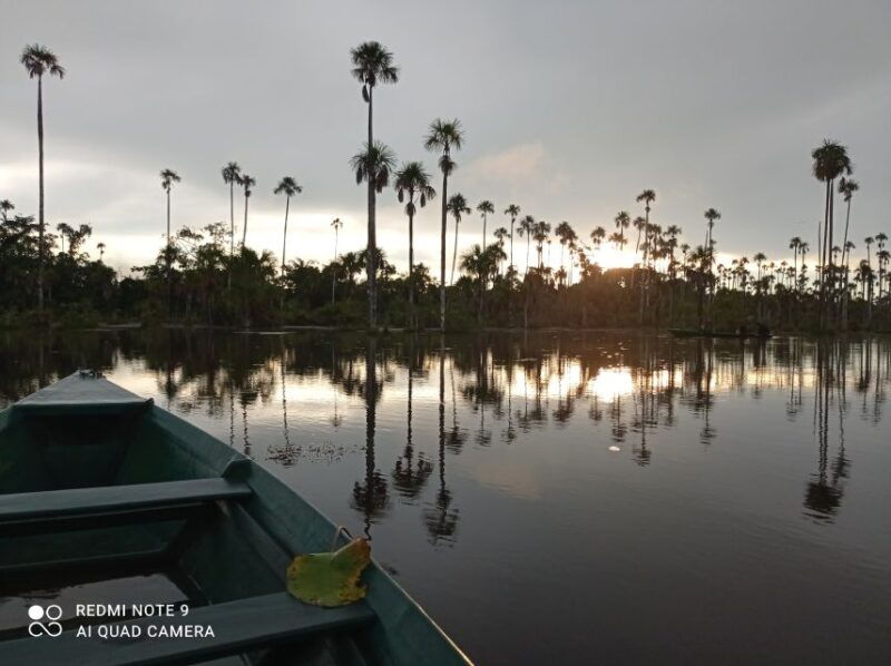 from-puerto-maldonado-4-day-excursion-wildlifesearch