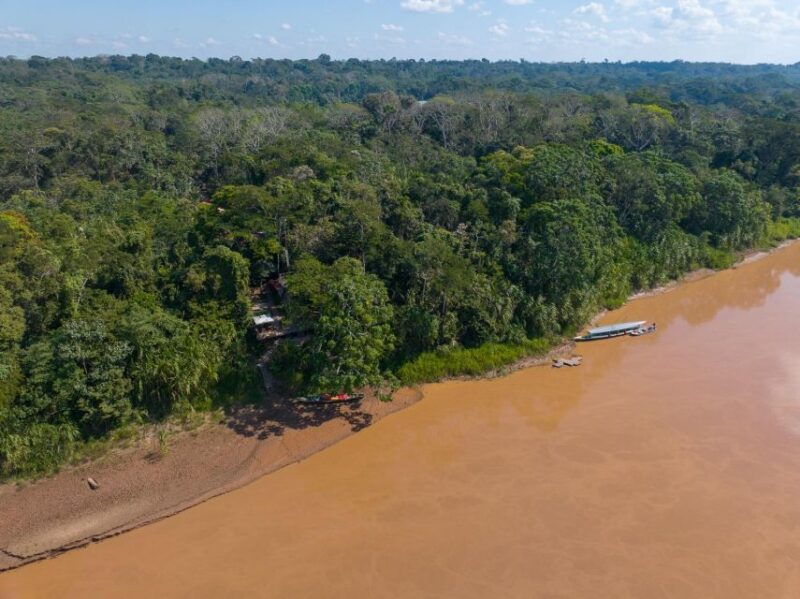 from-puerto-maldonado-4-day-excursion-wildlifesearch