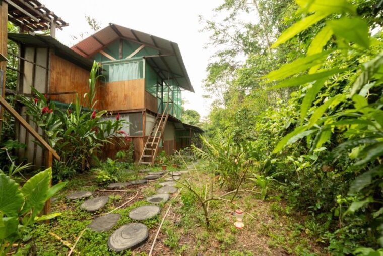 from-puerto-maldonado-4-day-excursion-wildlifesearch