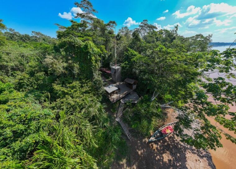 from-puerto-maldonado-4-day-excursion-wildlifesearch