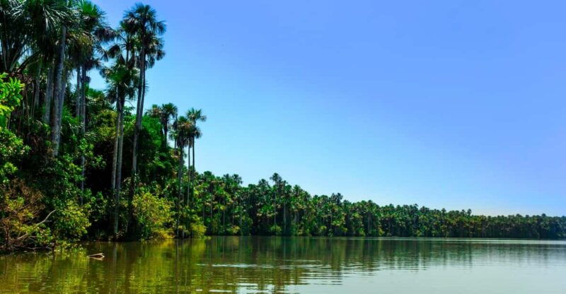 from-puerto-maldonado-jungle-trekking-sandoval-lake-3