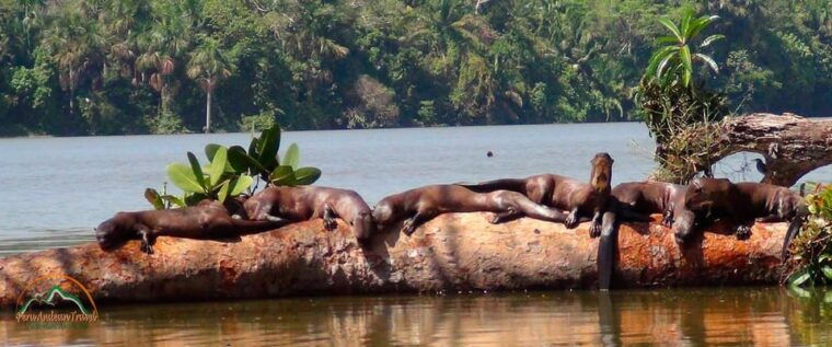 from-puerto-maldonado-jungle-trekking-sandoval-lake-3