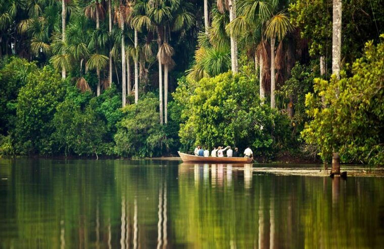 from-puerto-maldonado-jungle-trekking-sandoval-lake-3