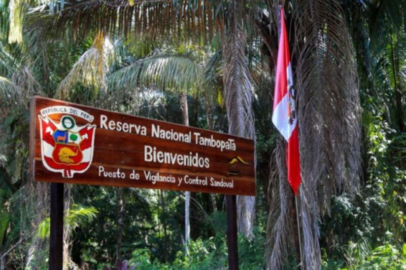 from-puerto-maldonado-jungle-trekking-sandoval-lake