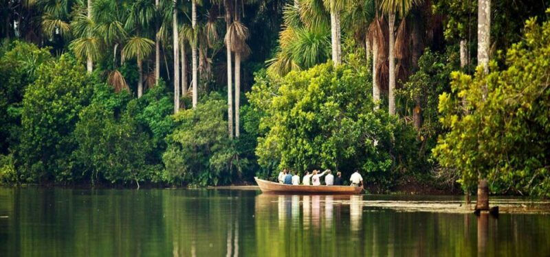 from-puerto-maldonado-kayak-tour-monkey-island-for-1-day