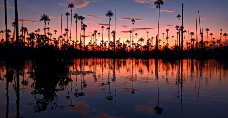 from-puerto-maldonado-sunset-boat-ride-for-3-hours