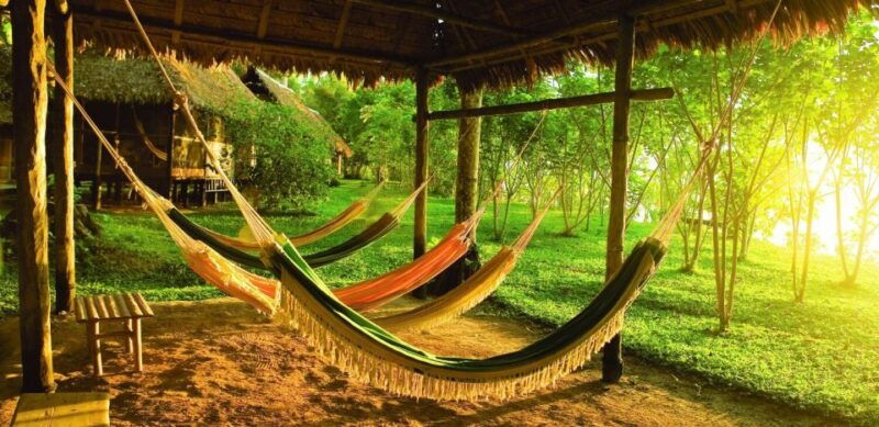 from-puerto-maldonado-tambopata-3-day-rainforest-tour