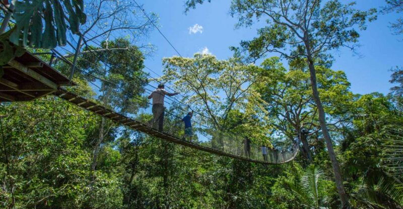 from-puerto-maldonado-tambopata-national-reserve-2-day-tour