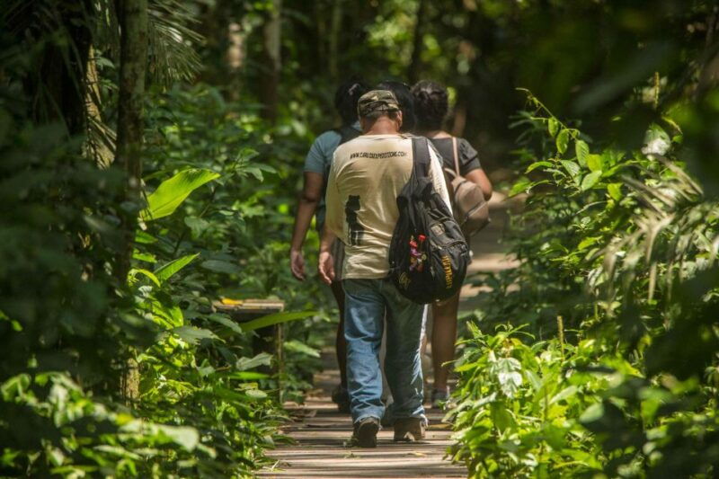 from-puerto-maldonado-tambopata-national-reserve-2-day-tour