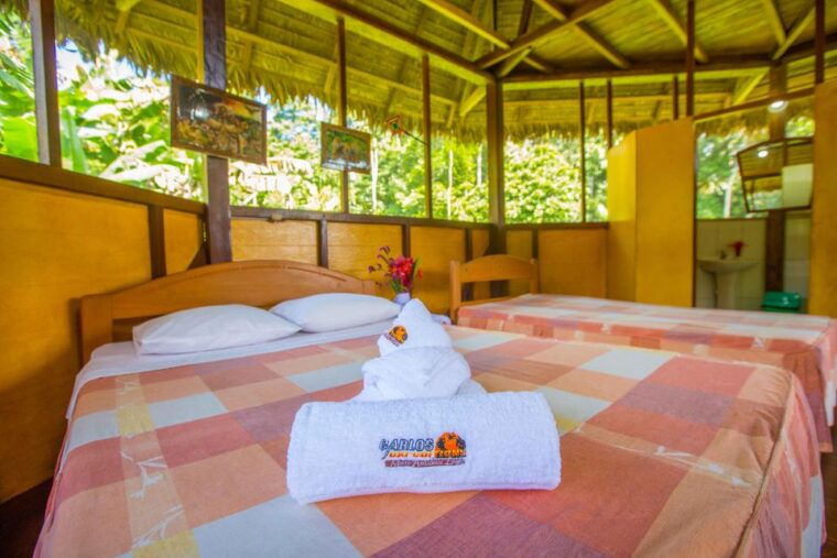 from-puerto-maldonado-tambopata-national-reserve-2-day-tour