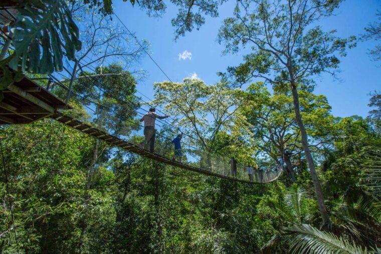 from-puerto-maldonado-tambopata-national-reserve-2-day-tour
