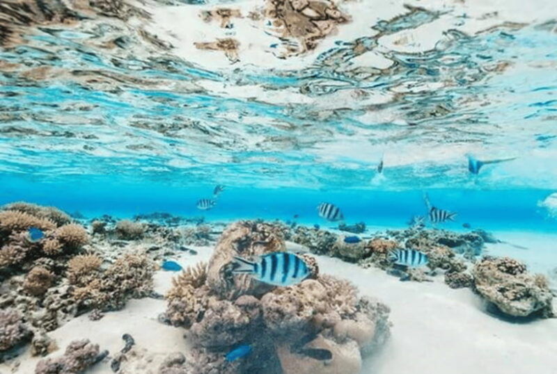 from-puerto-princesa-5-day-palawan-trip-with-accommodation