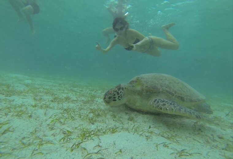 from-puerto-princesa-port-barton-island-hopping-day-trip
