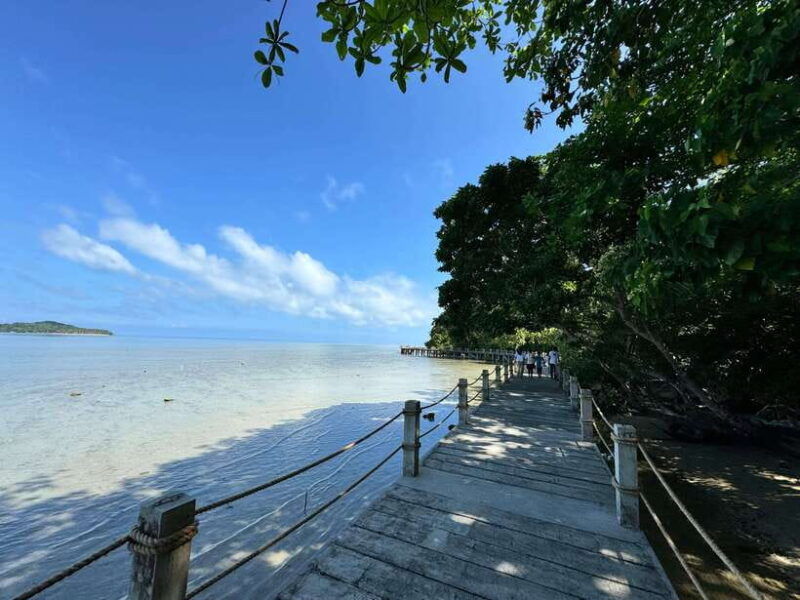 from-puerto-princesa-tabon-cave-day-tour-with-lunch