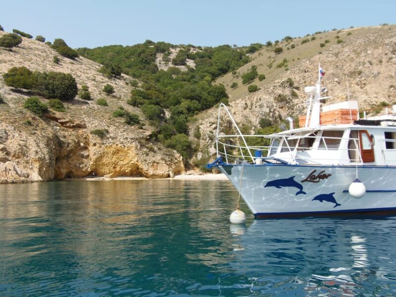 From Punat: Plavnik Island Boat Tour with Lunch - Frequently Asked Questions  