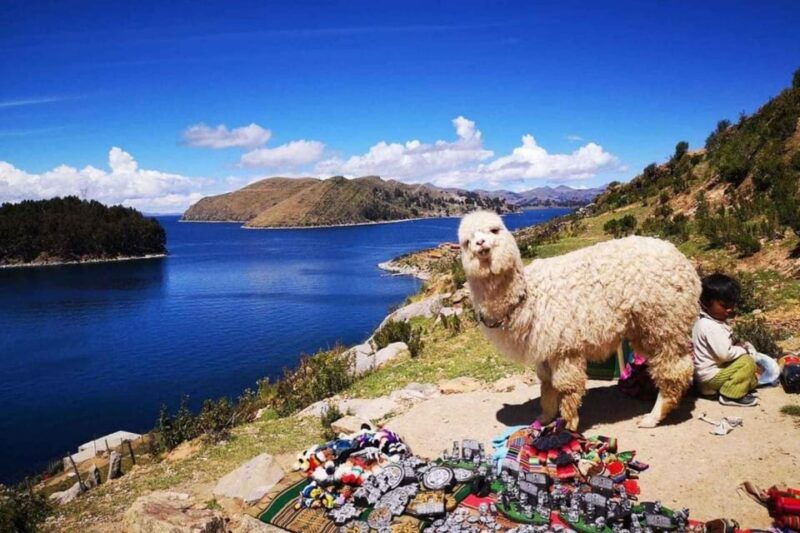 from-puno-excursion-to-copacabana-and-sun-island-3