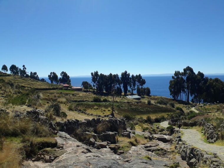 from-puno-full-day-tour-to-uros-and-taquile-with-lunch