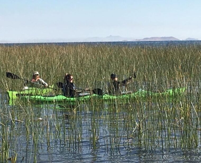 from-puno-half-day-kayak-on-uros-floating-islands