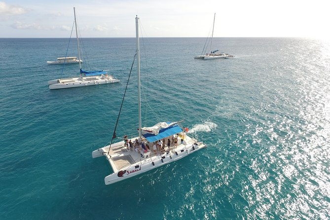 from-punta-cana-saona-island-altos-de-chavon-day-trip-with-lunch-and-open-bar