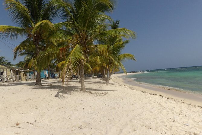 from-punta-cana-saona-island-full-day-for-small-group-catamaran
