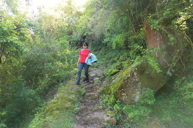 from-quebrada-de-humahuaca-to-yungas-jungle-by-the-qhapac-nan