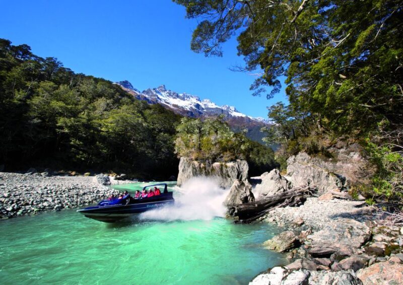 From Queenstown: Dart River Wilderness Jet Boat Experience - Key Points