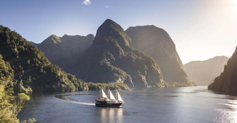 From Queenstown: Doubtful Sound Wilderness Day Trip - Who Will Love This Tour?