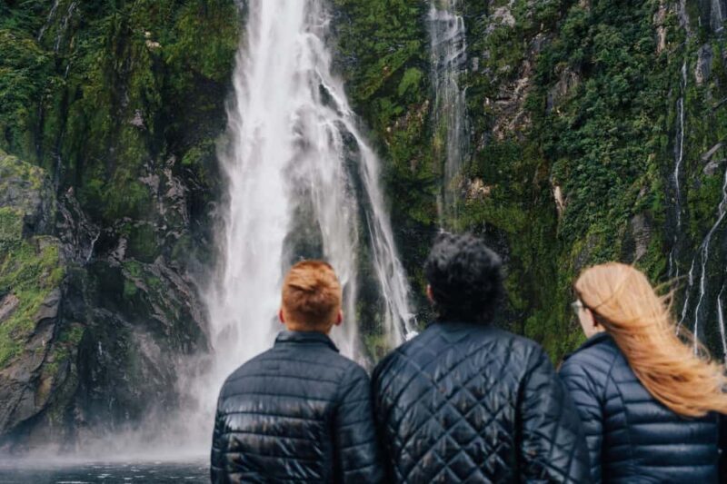 From Queenstown: Milford Sound Cruise and Scenic Drive - An In-Depth Look at the Milford Sound Tour