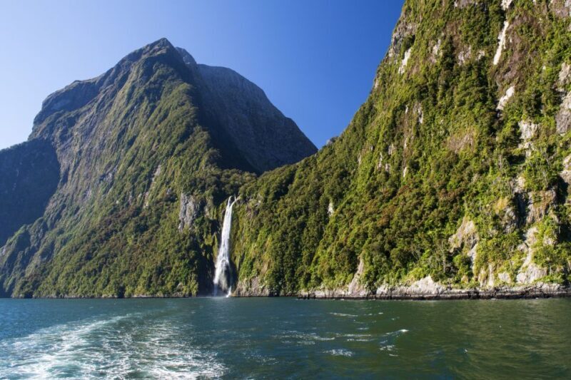 From Queenstown: Milford Sound Cruise & Scenic Coach Tour - Key Points