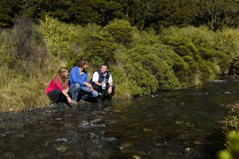 From Queenstown: Milford Sound Cruise & Scenic Coach Tour - Transportation & Comfort
