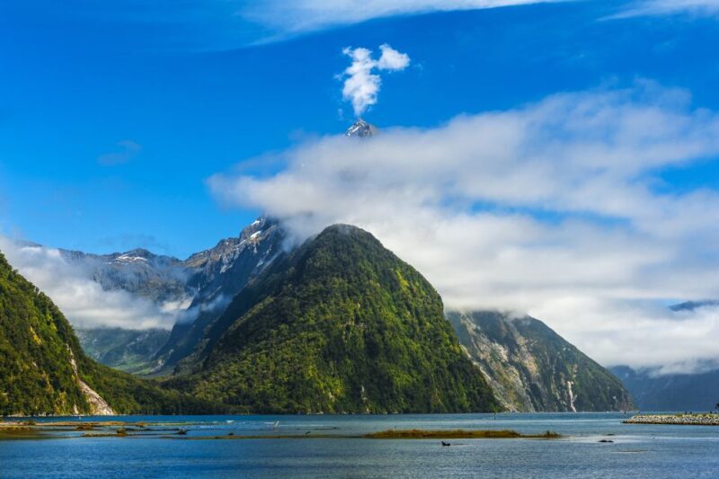 From Queenstown: Milford Sound Cruise & Scenic Coach Tour - Pricing & Value