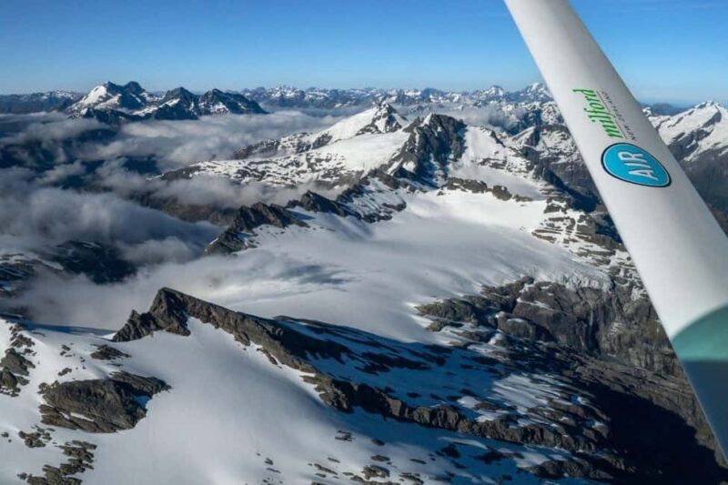 From Queenstown: Milford Sound Flight and Cruise with Lunch - Who Should Consider This Tour?