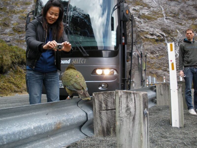 From Queenstown: Milford Sound Premium Day Tour and Cruise - Food and Refreshments