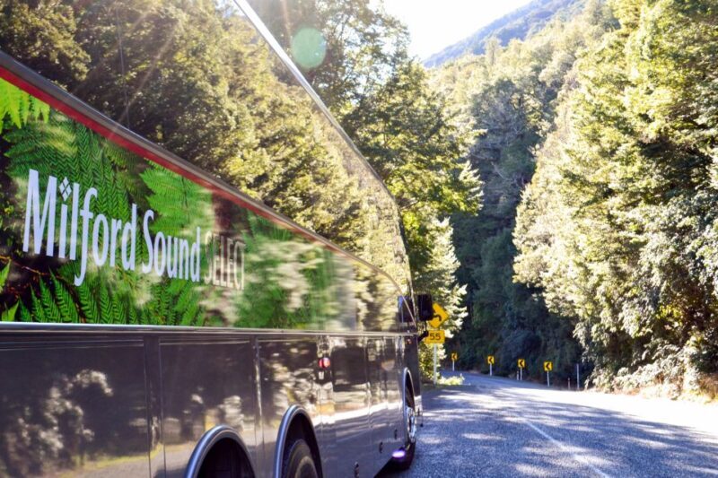 From Queenstown: Milford Sound Premium Day Tour and Cruise - Experience Quality & Practical Details
