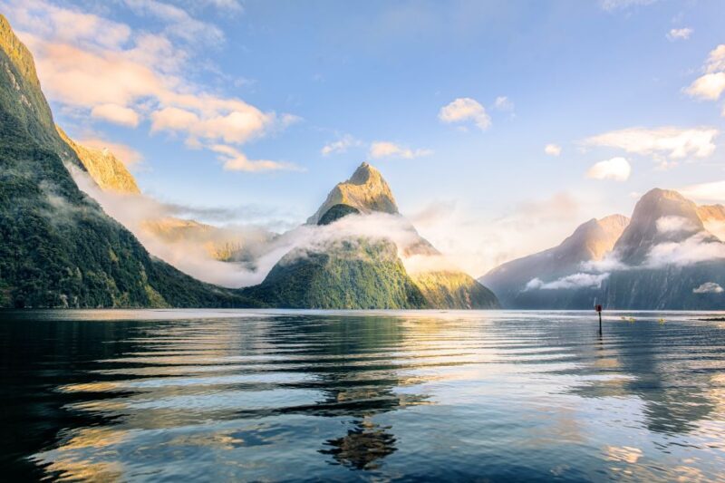 From Queenstown: Milford Sound Premium Day Tour and Cruise - Considerations Before Booking