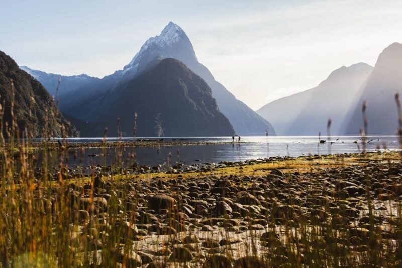From Queenstown: Milford Sound Scenic Flight & Nature Tour - Practical Tips for Travelers