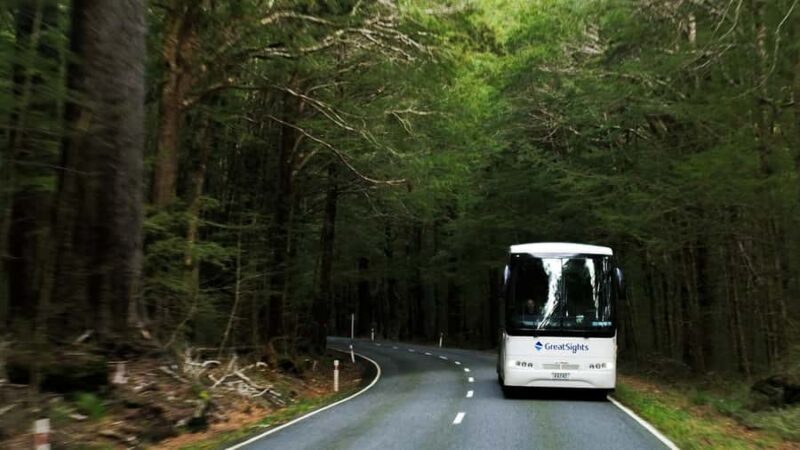 From Queenstown: Scenic One-Way Tour to Franz Josef - An Overview of the Queenstown to Franz Josef Scenic Tour