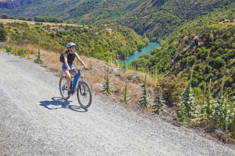 From Queenstown: 'Valley of the Vines' Wine and Bike Tour - The Bikes and Equipment