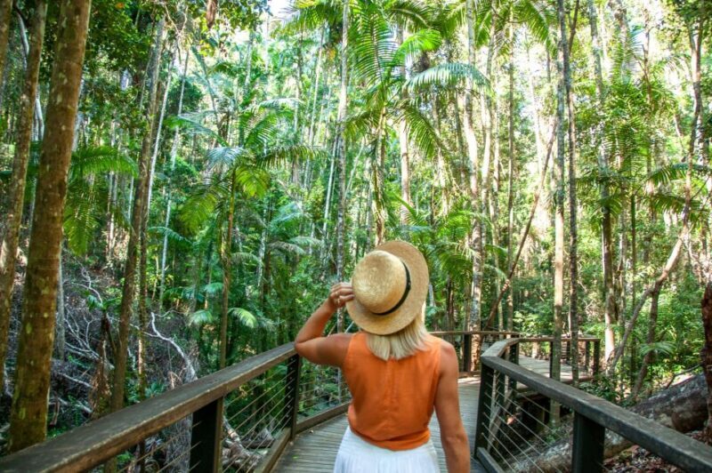 From Rainbow Beach: K'gari Fraser Island Full-Day Coach Tour - Value for Money: Is It Worth It?