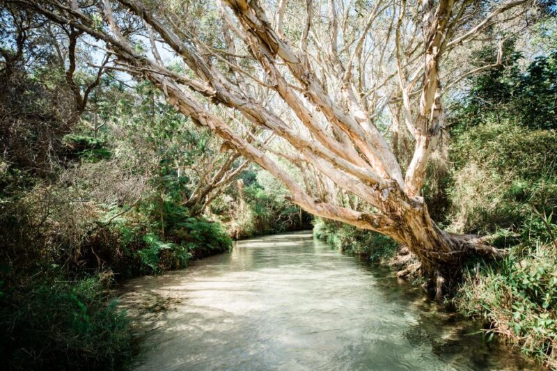 From Rainbow Beach: K'gari Fraser Island Full-Day Coach Tour - Frequently Asked Questions