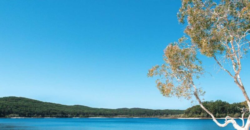 From Rainbow Beach: K'gari, Fraser Island Two-Day Coach Tour - Who Will Love This Tour?