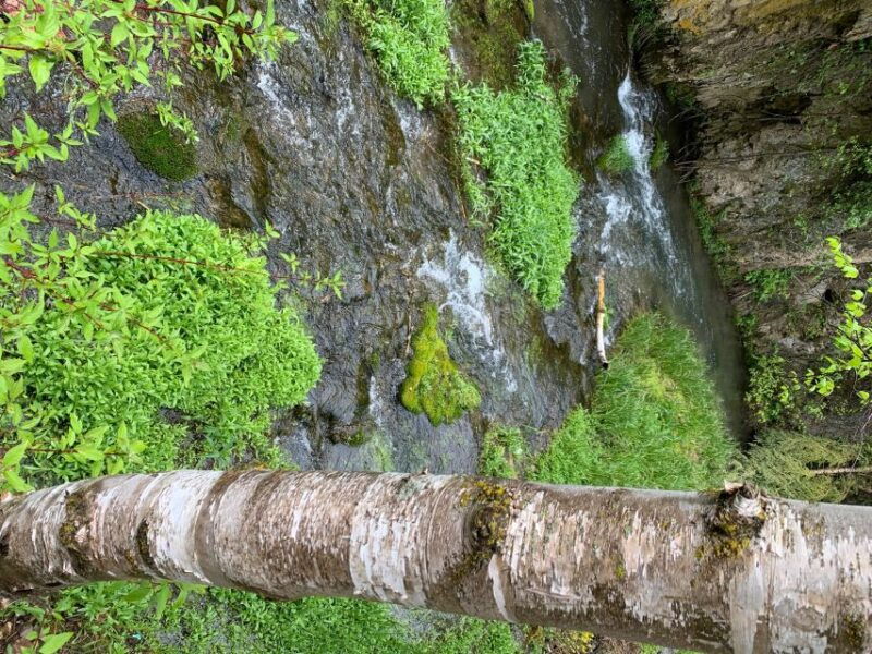 from-rapid-city-private-spearfish-canyon-tour