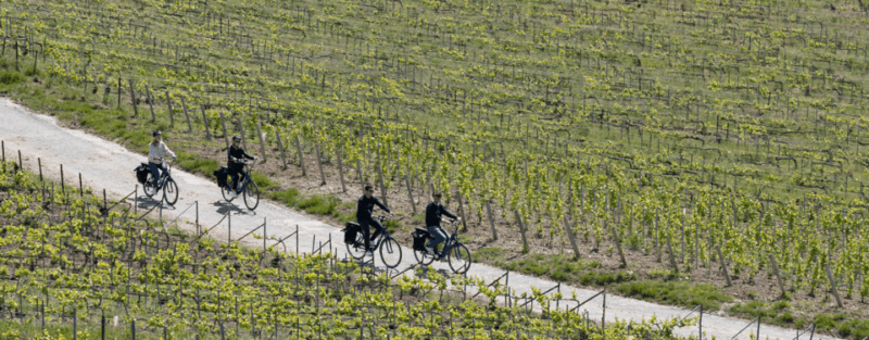 from-reims-champagne-afternoon-e-bike-tour