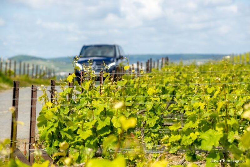 from-reims-champagne-and-family-run-wineries-tour