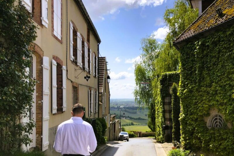 from-reims-champagne-and-family-run-wineries-tour