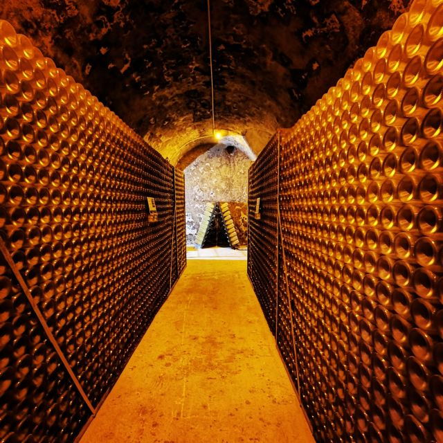 from-reims-day-trip-to-veuve-clicquot-family-grower-lunch