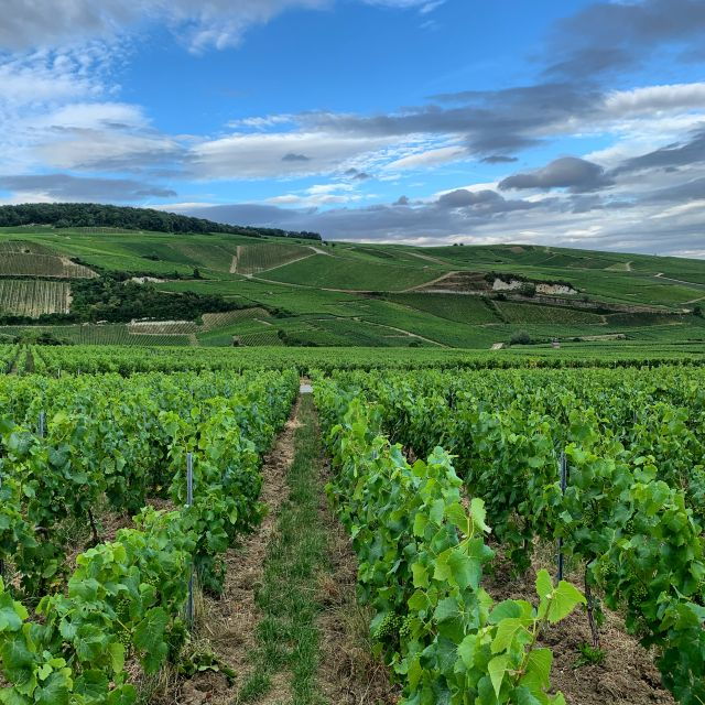 from-reims-epernaythe-connoisseurs-private-tour-9-tastings