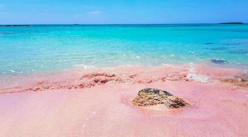 From Rethymno: Bus Trip to Elafonisi Beach - Practical Tips for Your Trip