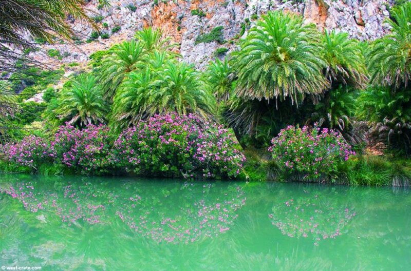 from-rethymno-chania-day-trip-to-preveli-palm-beach